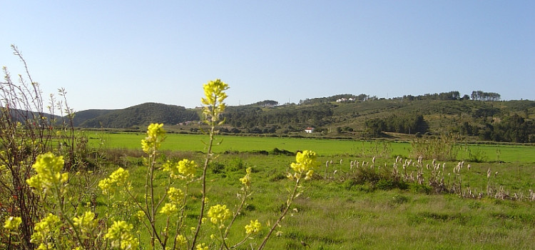 Zambujeira de Baixo Zambujeira de Baixo