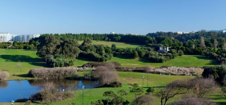 Oporto City Park Oporto City Park