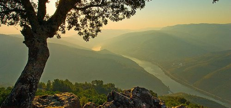 S. Leonardo da Galafura Viewpoint in Douro Valley S. Leonardo da Galafura Viewpoint in Douro Valley