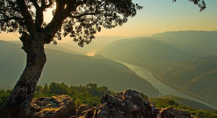 S. Leonardo da Galafura Viewpoint in Douro Valley