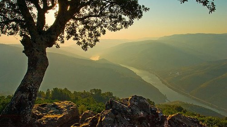 S. Leonardo da Galafura Viewpoint in Douro Valley