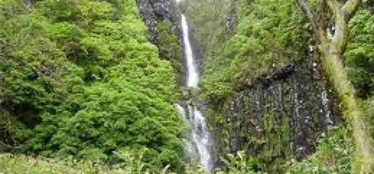 The Mermaid Legend – Azores The Mermaid Legend – Azores